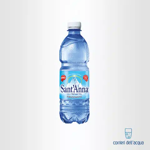 Acqua Frizzante Sant'Anna Rebruant 0,5 Litri Bottiglia in Plastica