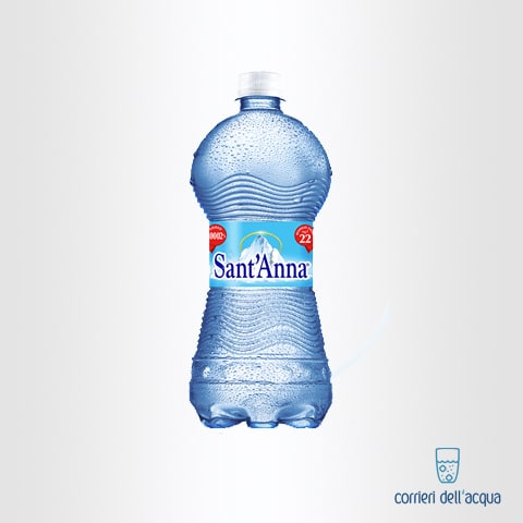 Acqua Frizzante Sant’Anna Rebruant 075 Litri Bottiglia in Plastica
