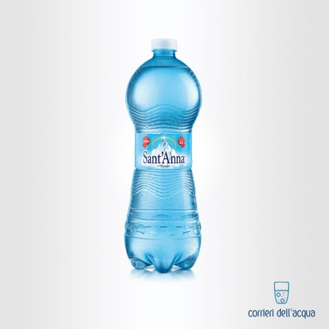 Acqua Frizzante Sant’Anna Vinadio 1 Litro Bottiglia in Plastica