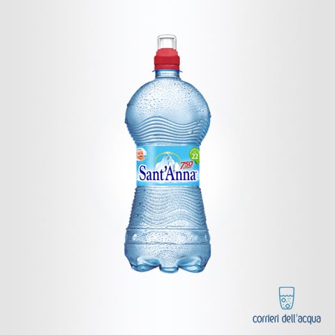 Acqua Naturale Sant’Anna Rebruant 075 Litri Bottiglia in Plastica PushPull