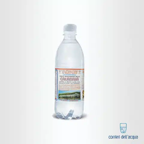Acqua Frizzante Calabria 0,5 Litri Bottiglia di Plastica PET con consegna a  domicilio in tutta Italia su