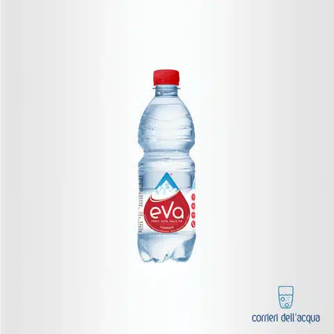 Acqua Frizzante Eva 0,5 Litri Bottiglia di Plastica con consegna a  domicilio in tutta Italia su
