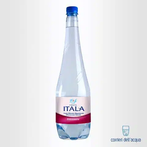 Acqua Frizzante Fonte Itala 1 Litro Bottiglia di Plastica PET