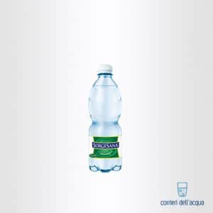 Acqua Frizzante Sorgesana 05 Litro Bottiglia di Plastica PET