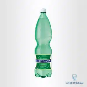 Acqua Frizzante Sorgesana 15 Litro Bottiglia di Plastica PET