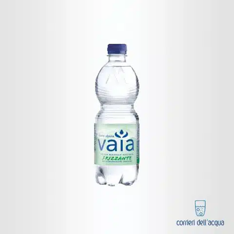 Acqua Frizzante Vaia 1,5 Litri Bottiglia di Plastica PET con consegna a  domicilio in tutta Italia su