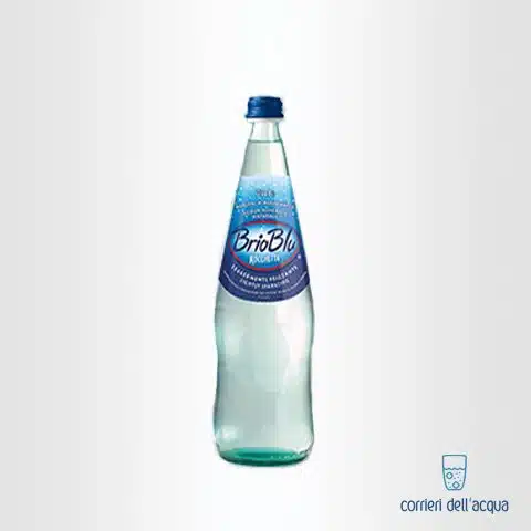 Acqua Lievemente Frizzante Brio Blu Rocchetta 0,5 Litri Bottiglia di  Plastica con consegna a domicilio in tutta Italia su