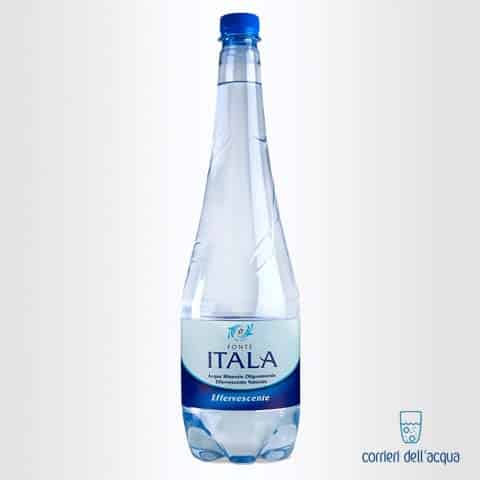 Acqua Lievemente Frizzante Fonte Itala 1 Litro Bottiglia di Plastica PET