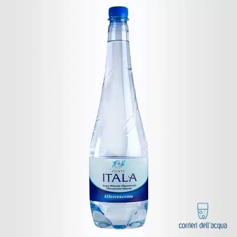 Acqua Lievemente Frizzante Fonte Itala 1 Litro Bottiglia di Plastica PET