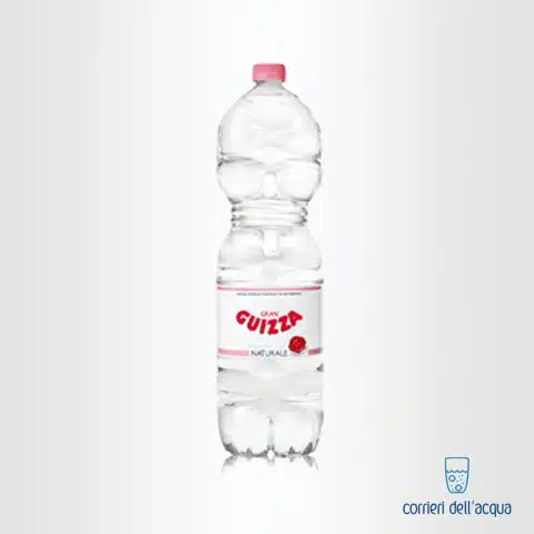 Acqua Naturale Alpe Guizza Fonte Caudana 2 Litri Bottiglia di Plastica