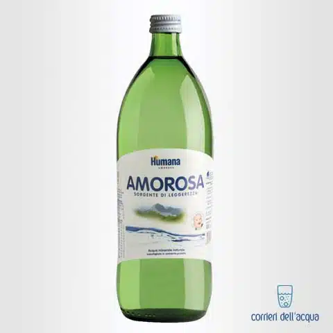 Acqua Naturale Amorosa Humana 1 Litro Bottiglia di Vetro con consegna a  domicilio in tutta Italia su