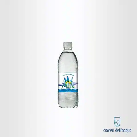 Acqua Naturale Ninfa Leggera 05 Litri Bottiglia di Plastica PET