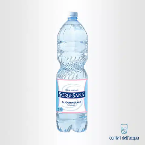 Acqua Naturale Sorgesana 2 Litri Bottiglia di Plastica PET con consegna a  domicilio in tutta Italia su